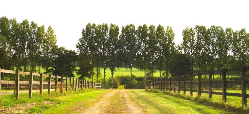 Gangway at Haras