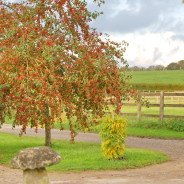 An Autumn Evening In Normandy