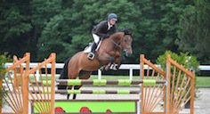 Our horses
