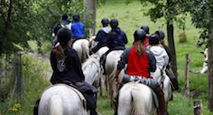 Local riding