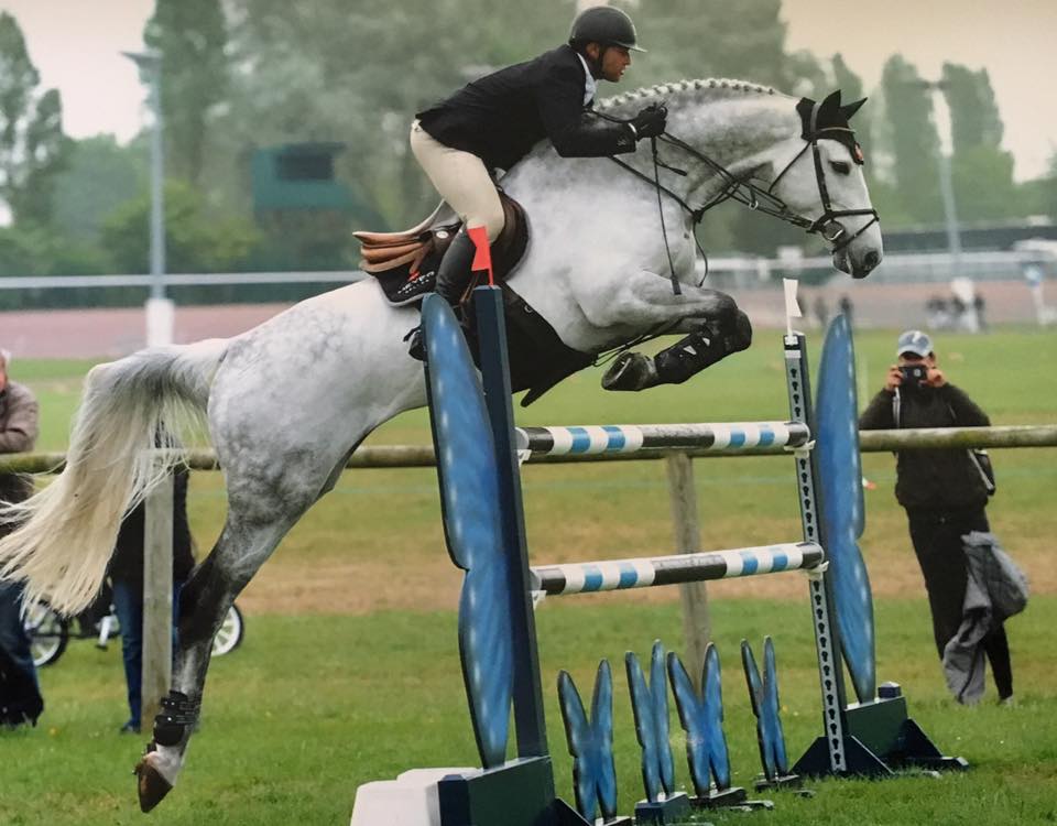 Continuum – Holsteiner Magic!