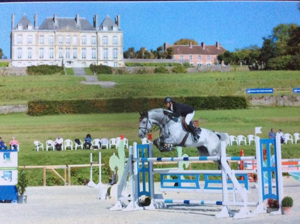 Continuum & Nico at Haras du Pin 744089921713_6119491094832210715_n